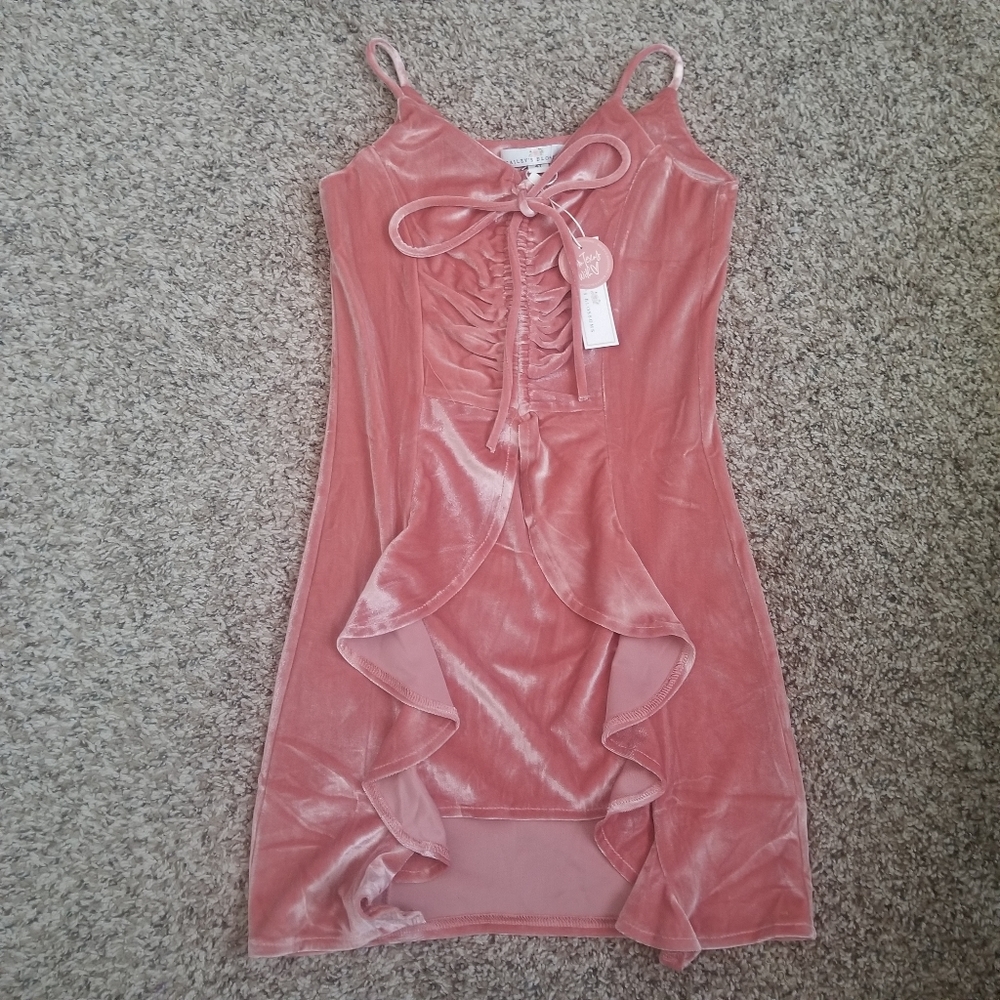 ❌SOLD❌Bailey's Blossoms Velvet Dress